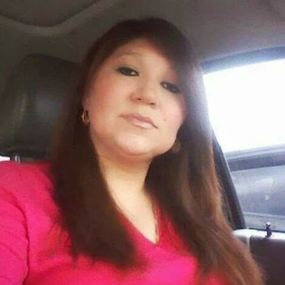 Meet your Posher, Rosa alba - Picture 1 of 1